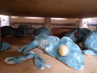 Školní rok 2025/2026 &raquo; Keramika – Jaro 2026