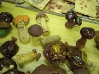 Školní rok 2025/2026 &raquo; Keramický kroužek - podzim a zima