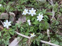 Školní rok 2025/2026 &raquo; Všeználci na jaře